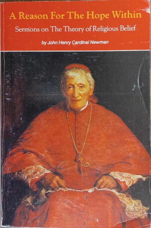A Reason for the Hope Within: Sermons on the Theory of Religious Belief