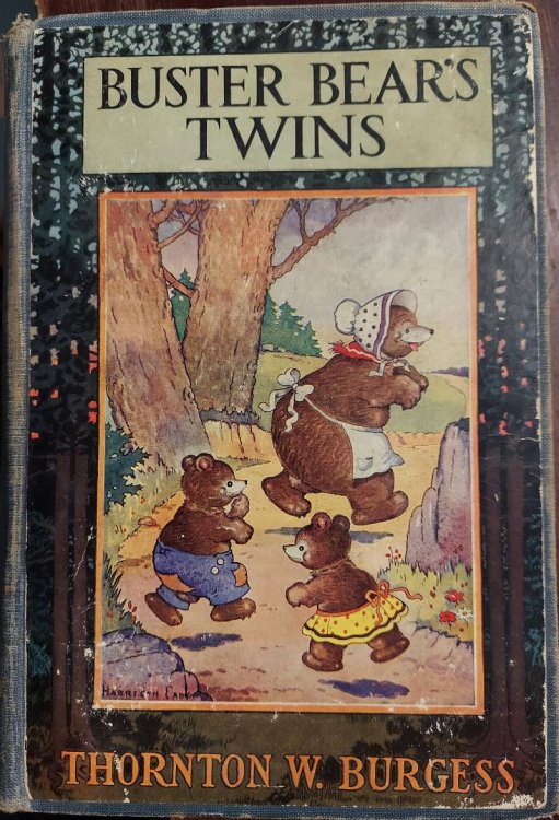 Buster Bear's Twins