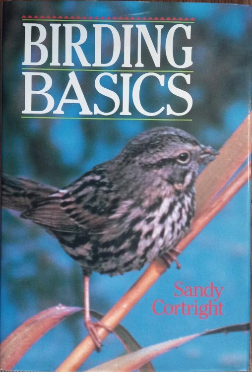 Birding Basics