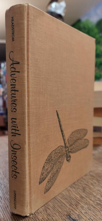 Adventures with Insects