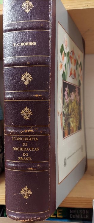 Iconografia De Orchidaceas Do Brasil (Orchids of Brazil)