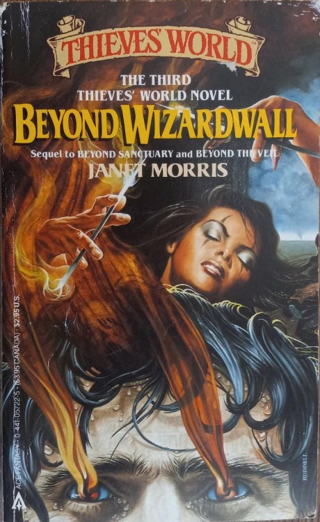 Beyond Wizardwall (Thieves' World Book 3)