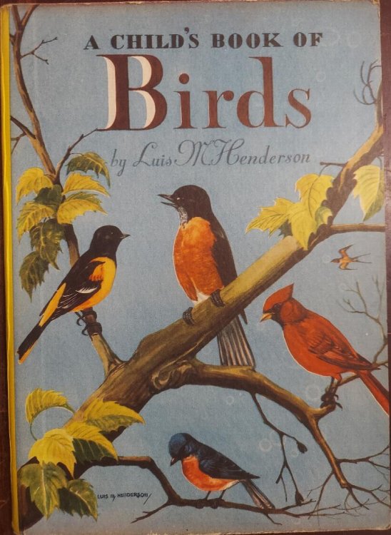 A Child's Book of Birds
