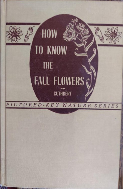How to Know the Fall Flowers