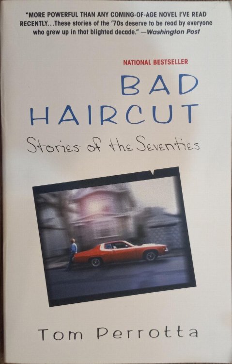 Bad Haircut: Stories of the Seventies