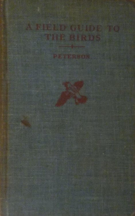 A Field Guide to the Birds