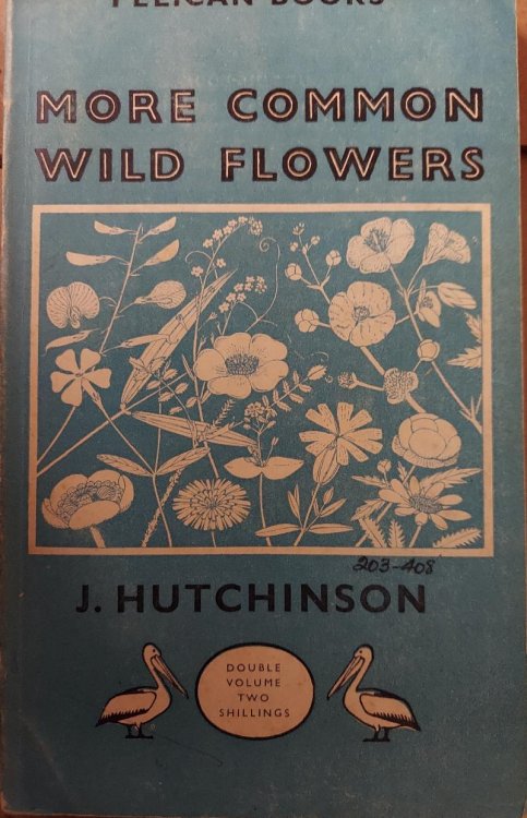 More Common Wild Flowers