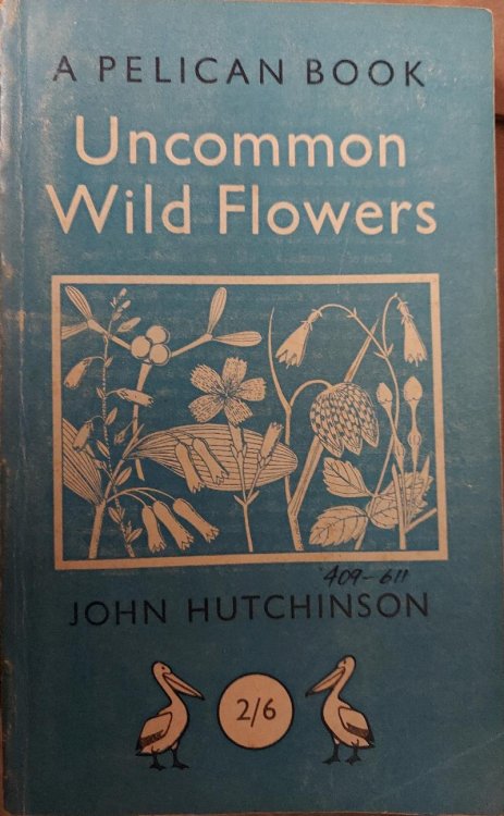 Uncommon Wild Flowers