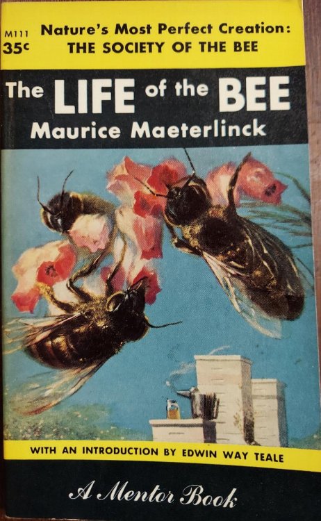 The Life of the Bee