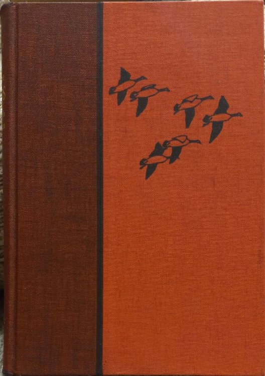 Water, Prey, and Game Birds of North America