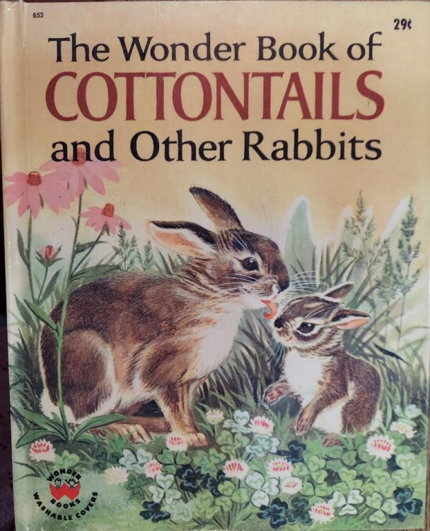 The Wonder Book of Cottontails and Other Rabbits
