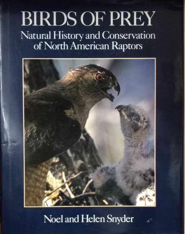 Image for Birds of Prey: Natural History and Conservation of North American Raptors Birds of Prey: Natural History and Conservation of North American Raptors