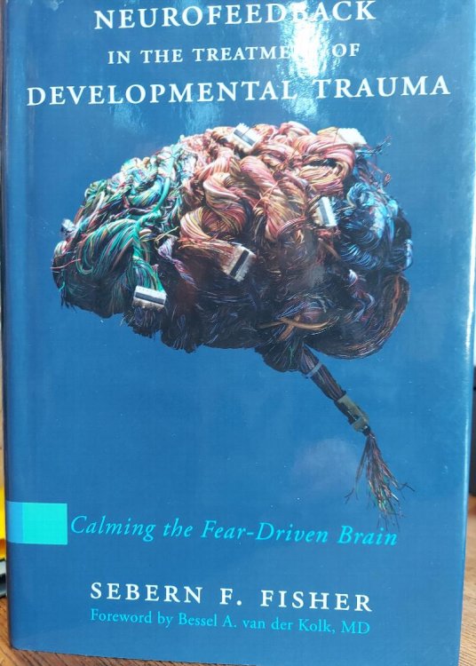 Neurofeedback in the Treatment of Developmental Trauma: Calming the Fear-Driven Brain