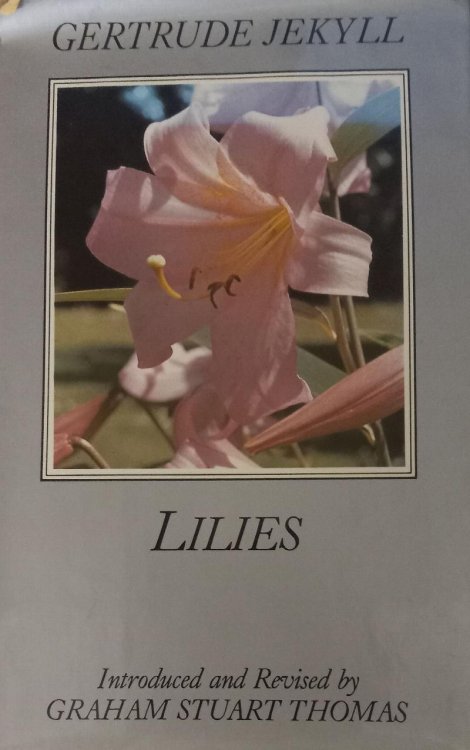 Lilies