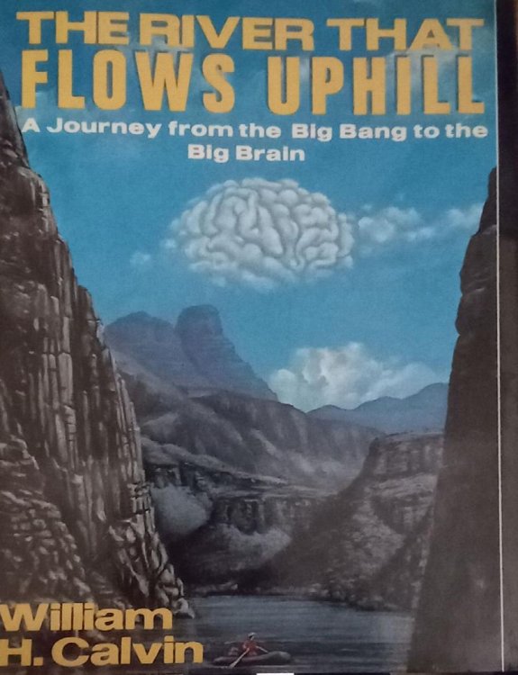 The River That Flows Uphill: A Journey from the Big Bang to the Big Brain