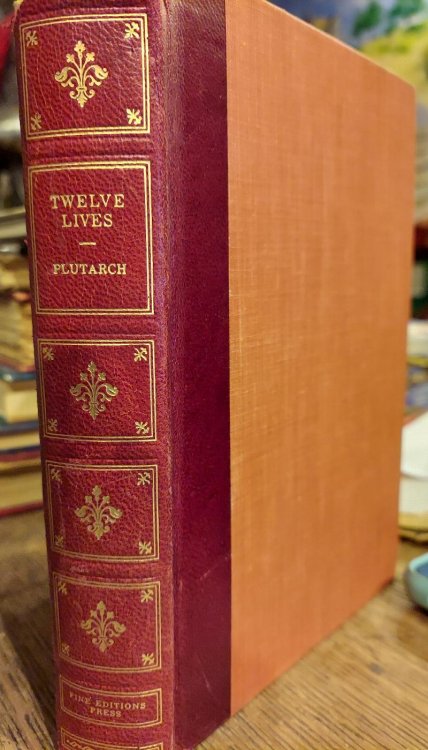 Twelve Lives