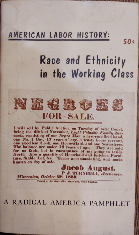 American Labor History : Race and Ethnicity in the Working Class