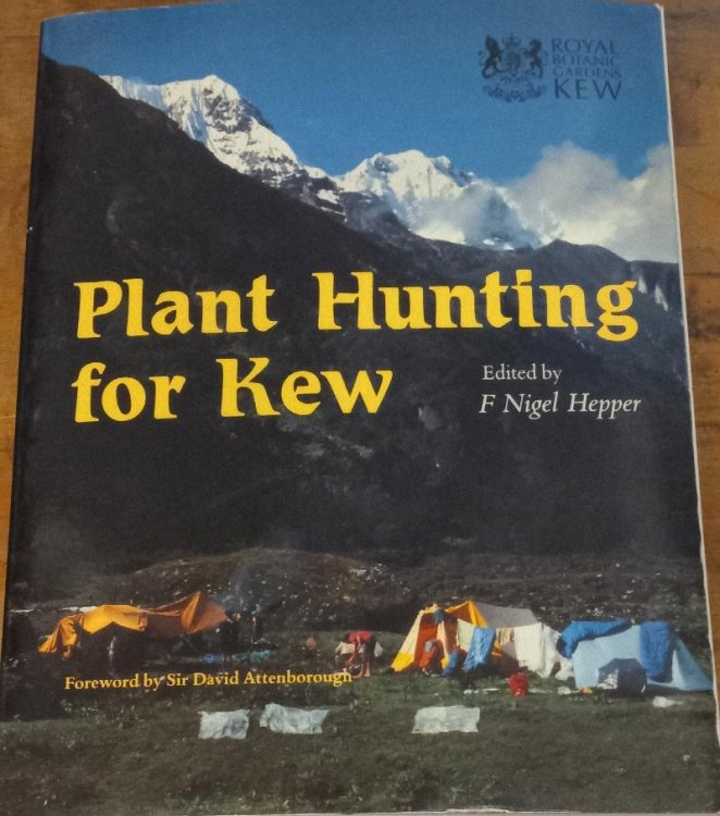 Plant Hunting for Kew