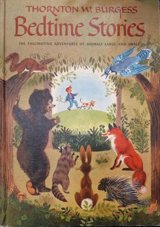 Bedtime Stories: The Fascinating Adventures of Animals Large and Small