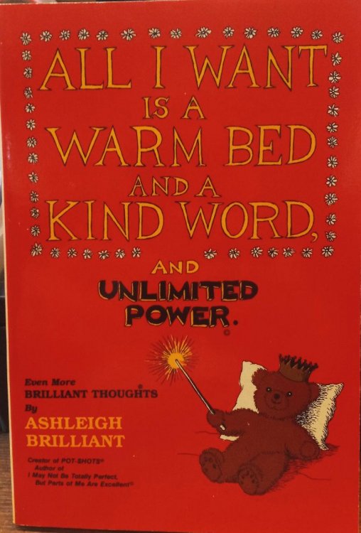 All I Want is a Warm Bed and a Kind Word and Unlimited Power