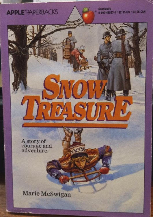 Snow Treasure