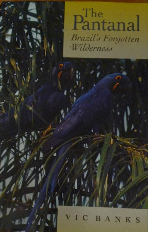 The Pantanal: Brazil's Forgotten Wilderness