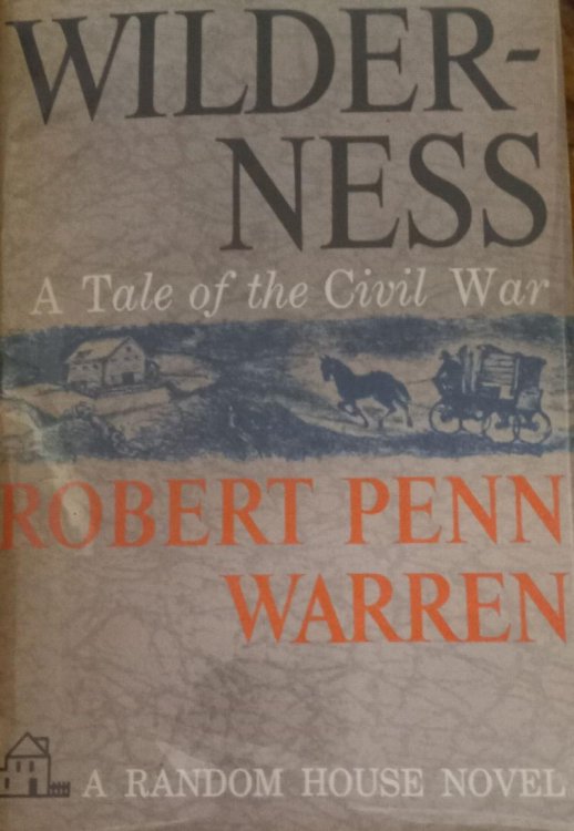 Wilderness: A Tale of the Civil War