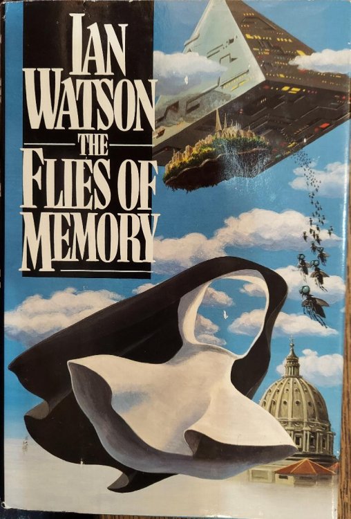 The Flies of Memory