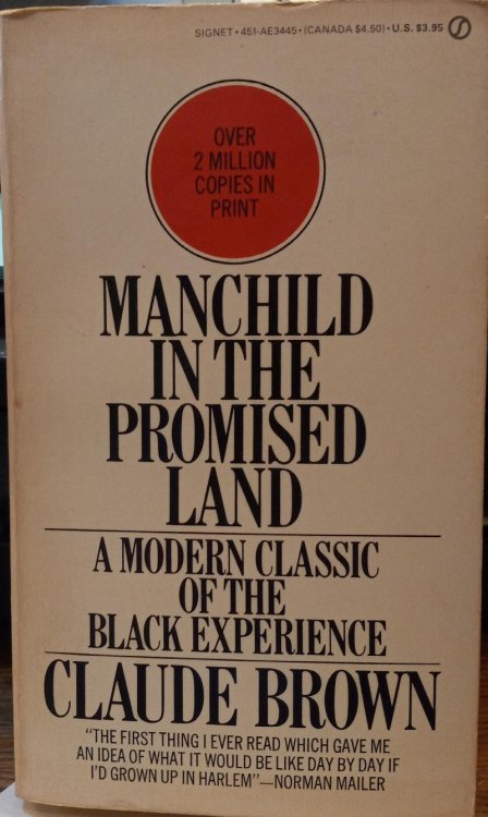 Manchild in the Promised Land: A Modern Classic of the Black Experience