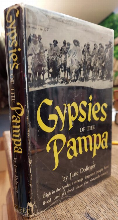 Image for Gypsies of the Pampa Gypsies of the Pampa