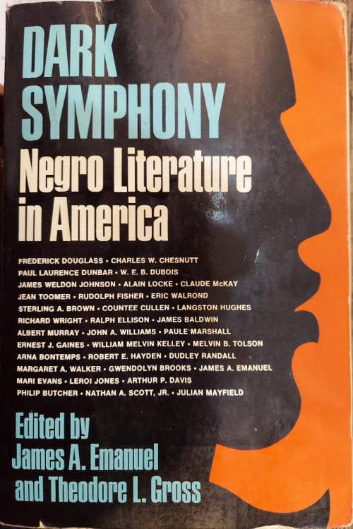 Image for Dark Symphony: Negro Literature in America Dark Symphony: Negro Literature in America