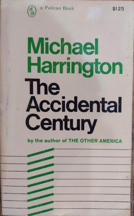 The Accidental Century