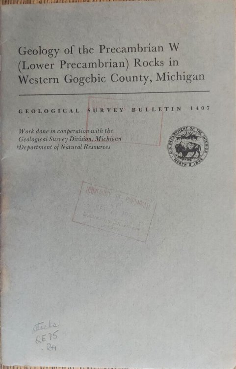 Geology of the Precambrian W (Lower Precambrian) Rocks in Western Gogebic County, Michigan