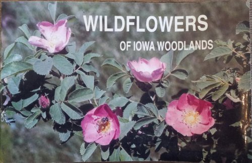 Wildflowers of Iowa Woodlands