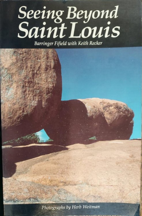 Seeing Beyond St. Louis