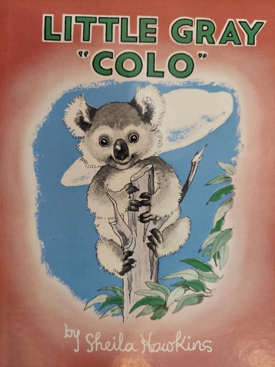 Little Gray Colo : The Adventures of a Koala Bear