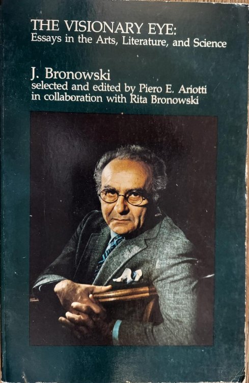 The Visionary Eye: Essays in the Arts, Literature and Science