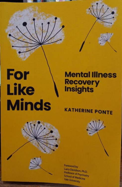 For Like Minds: Mental Illness Recovery Insights