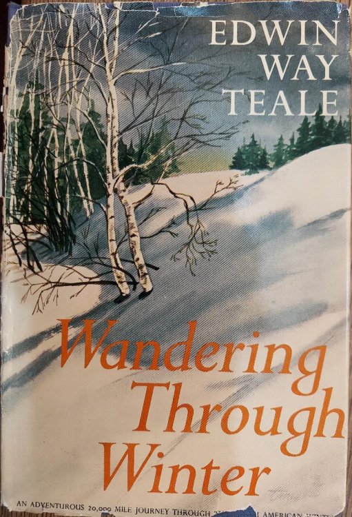 Wandering Through Winter (The American Seasons)