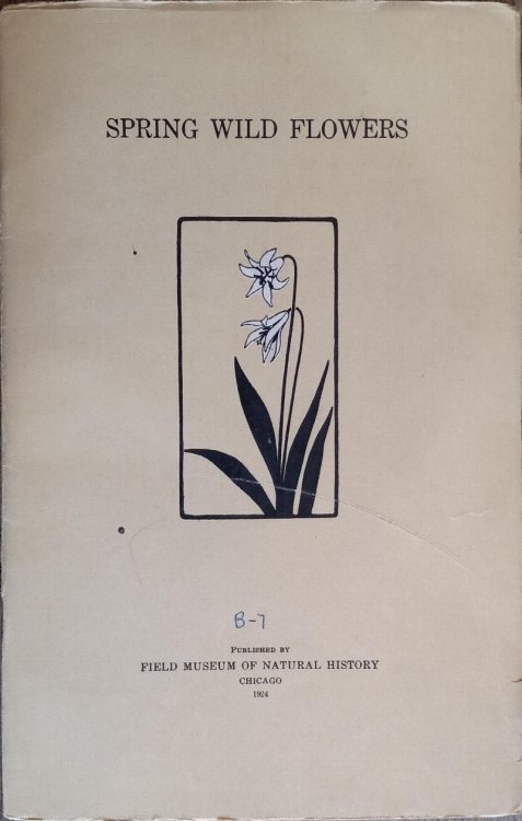 Spring Wild Flowers (Botany Leaflet #7)