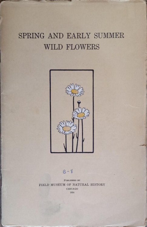 Spring and Early Summer Wild Flowers (Botany Leaflet #8)