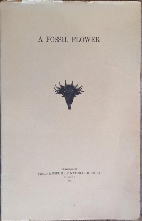 A Fossil Flower (Botany Leaflet #5)
