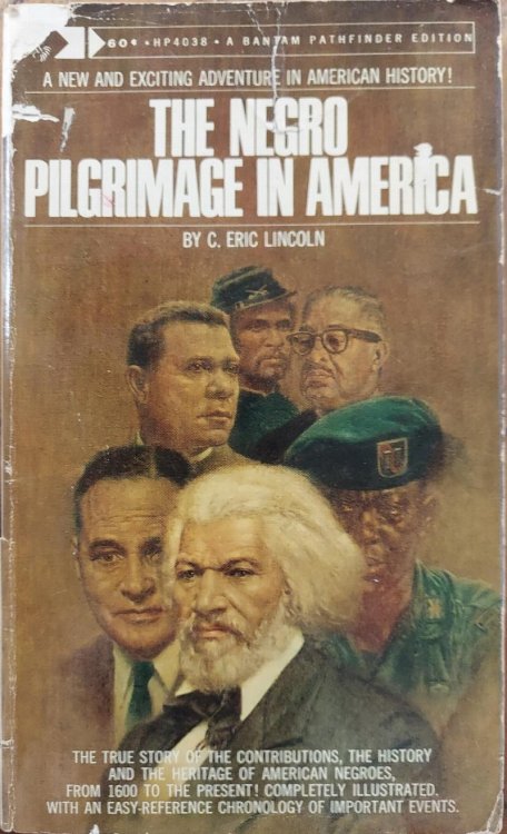 The Negro Pilgrimage in America