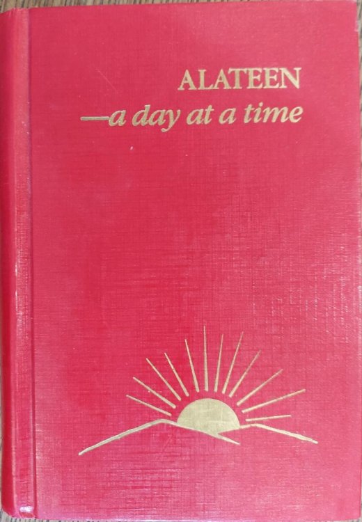 Alateen - a Day at a Time