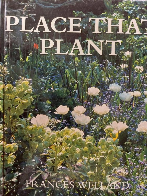 Place That Plant