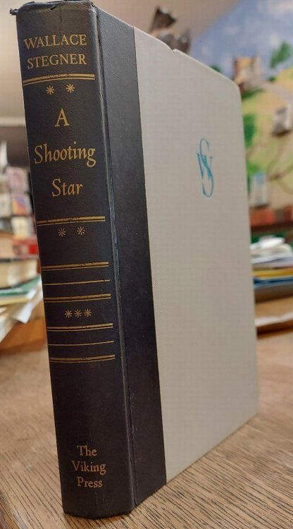 A Shooting Star