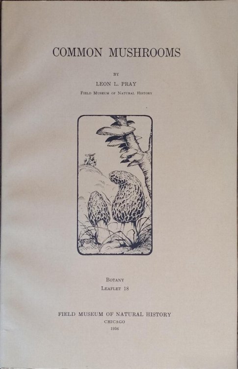 Common Mushrooms (Botany Leaflet #18)
