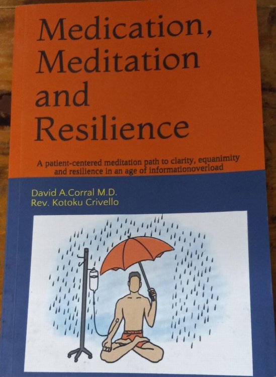 Medication, Meditation and Resilience; A Patient-Centered Meditation Path to Clarity, Equanimity and Resilience in an Ae of Informationoverload