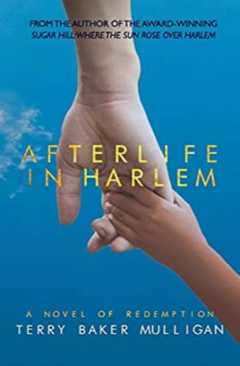 Image for Afterlife in Harlem : A Novel of Redemption Afterlife in Harlem : A Novel of Redemption