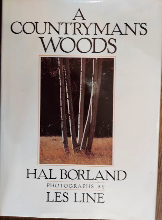 A Countryman's Woods
